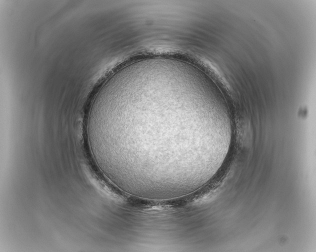 X0000093560447200710291022