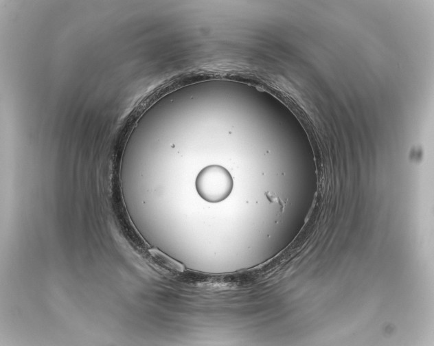 X0000093560448200710291022