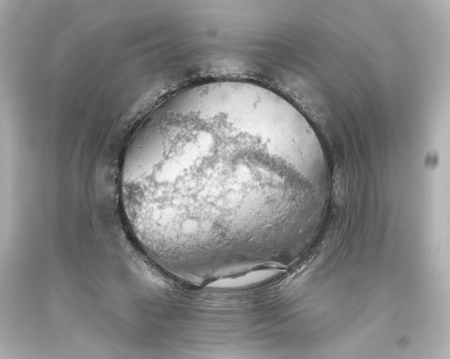 X0000093560449200710291022