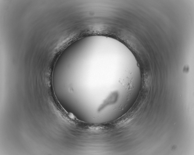 X0000093560450200710291022