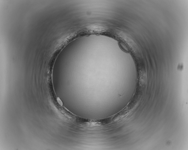 X0000093560451200710291022