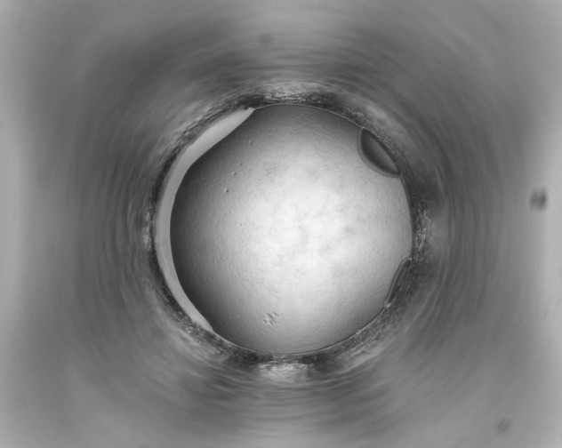 X0000093560452200710291022