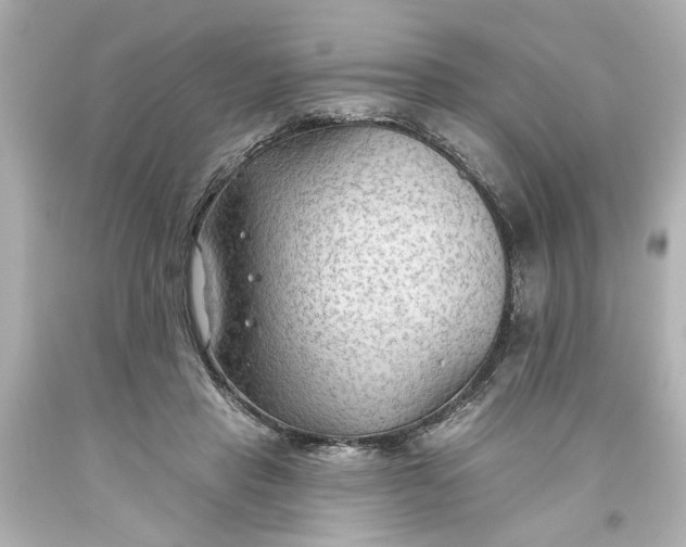 X0000093560453200710291022