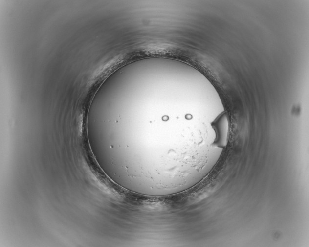 X0000093560454200710291022