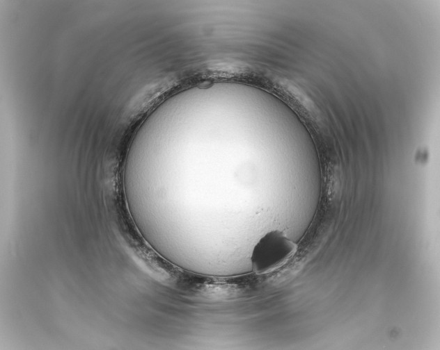 X0000093560455200710291022