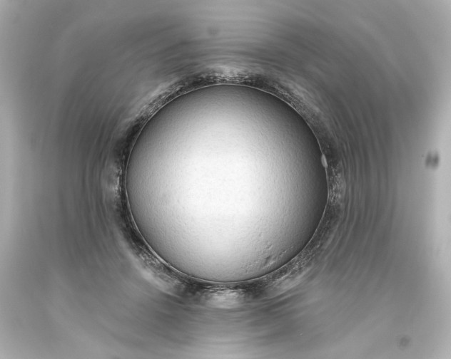 X0000093560456200710291022