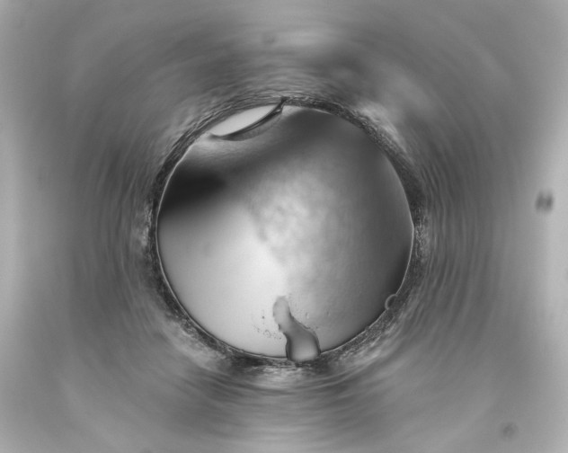 X0000093560458200710291022