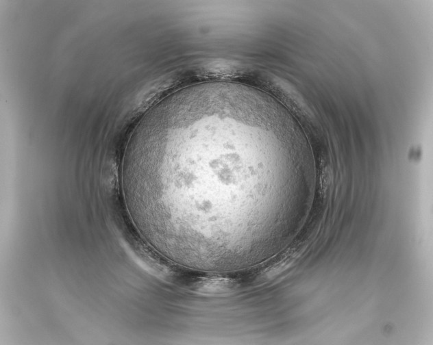 X0000093560459200710291022