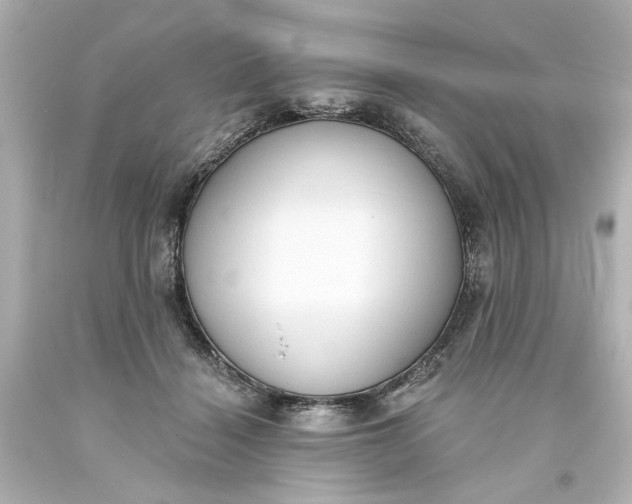 X0000093560460200710291022