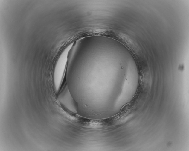 X0000093560462200710291023