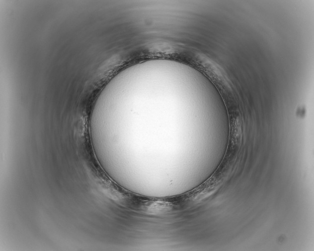 X0000093560463200710291023