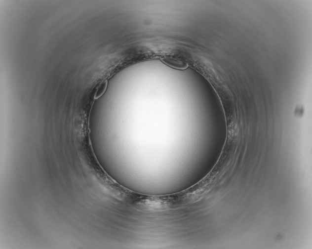 X0000093560464200710291023