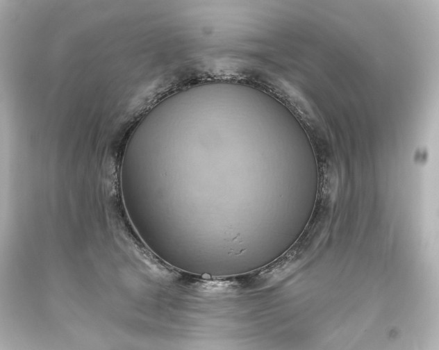 X0000093560465200710291023