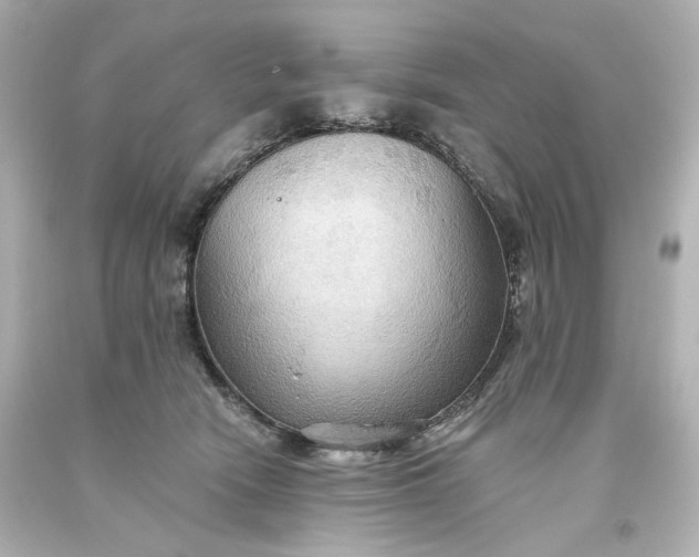 X0000093560466200710291023