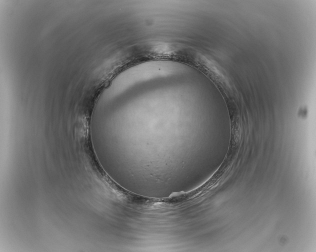 X0000093560467200710291023