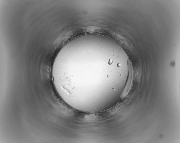 X0000093560470200710291023