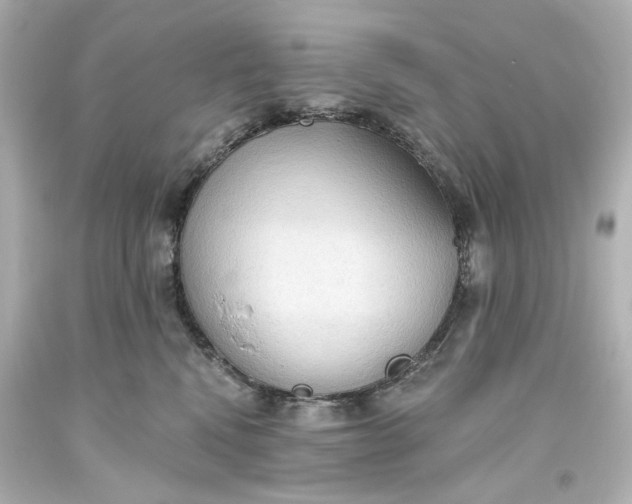 X0000093560472200710291023