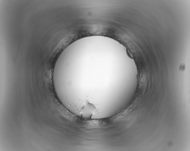 X0000093560473200710291023