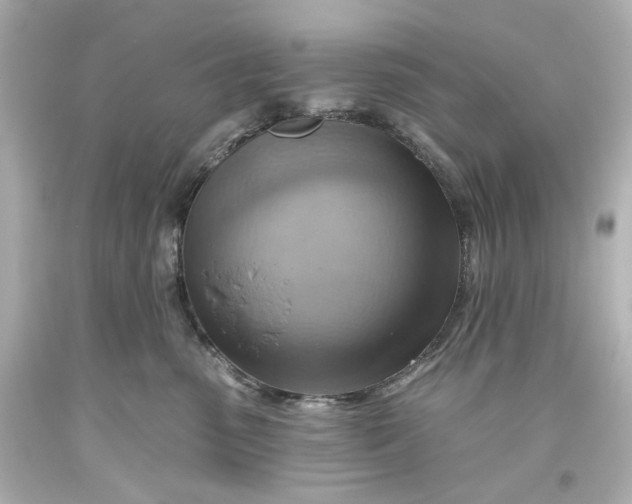 X0000093560475200710291023