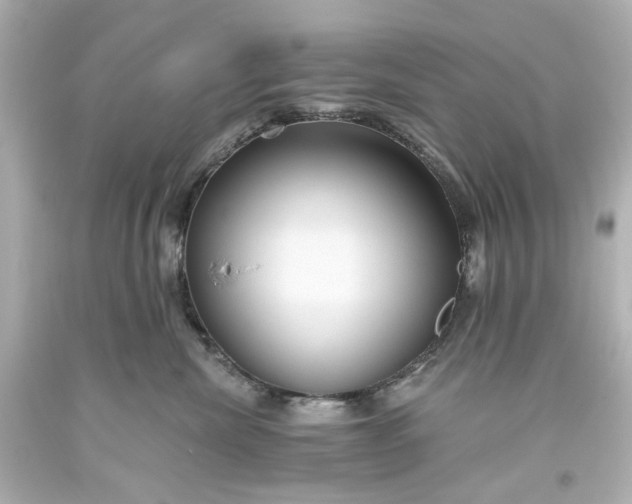 X0000093560476200710291023