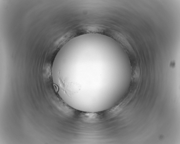 X0000093560478200710291023