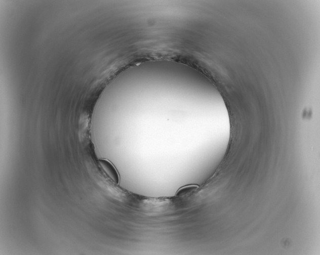 X0000093560480200710291023