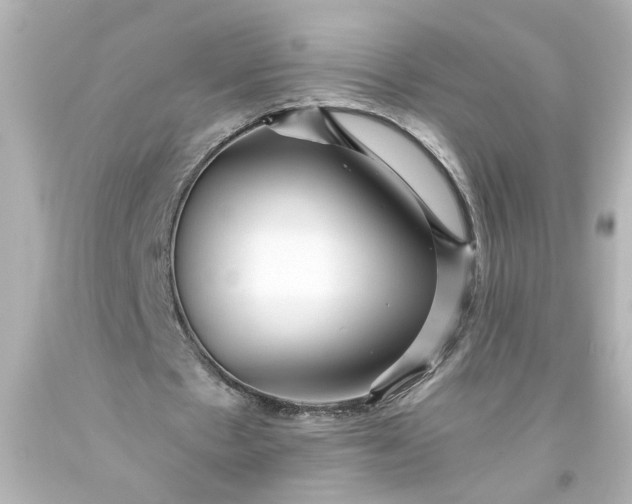 X0000093560481200710291022