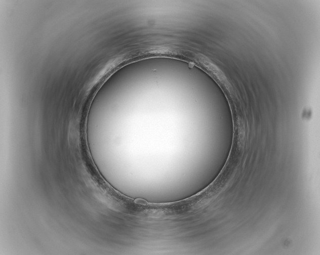 X0000093560482200710291022