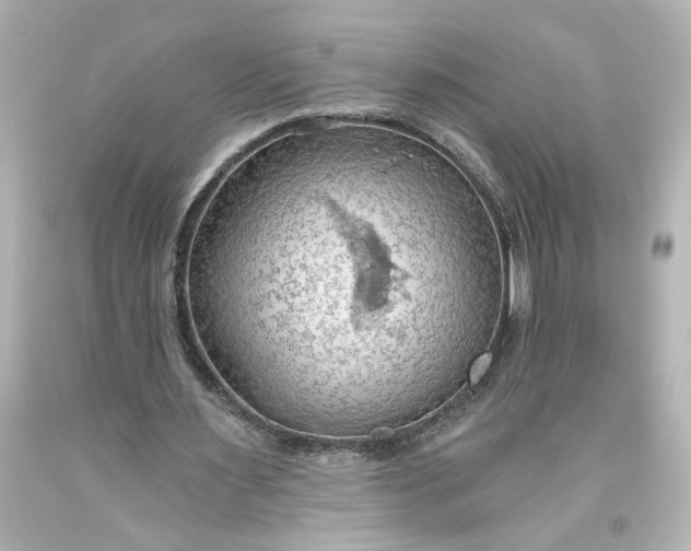 X0000093560483200710291022