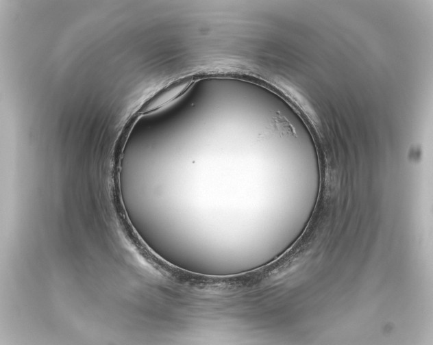 X0000093560485200710291022