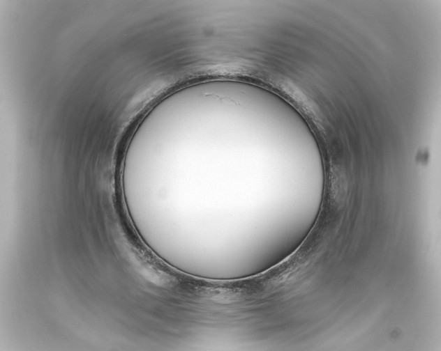 X0000093560486200710291022