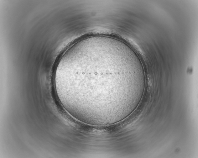 X0000093560487200710291022