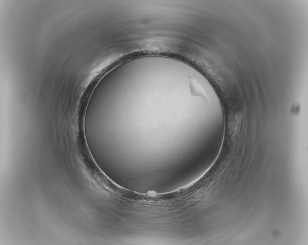 X0000093560488200710291022