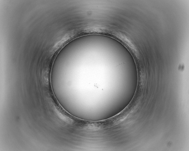 X0000093560489200710291022