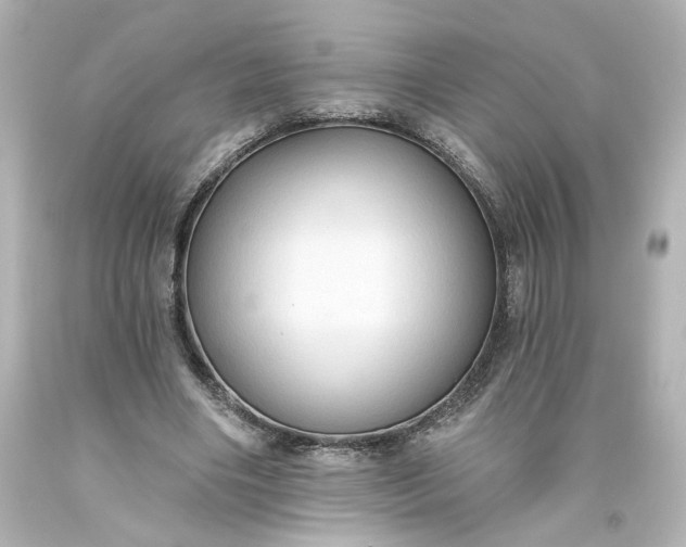 X0000093560490200710291022