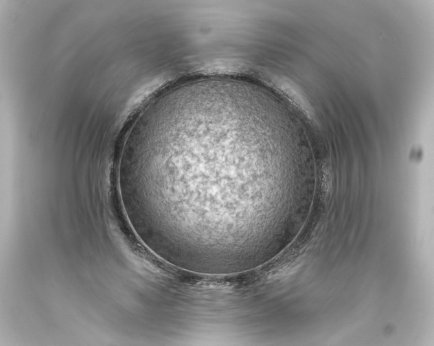 X0000093560491200710291022