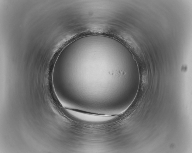 X0000093560492200710291022