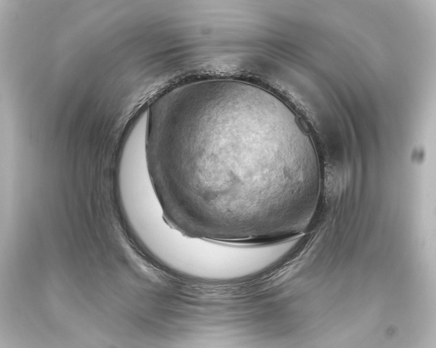 X0000093560493200710291022