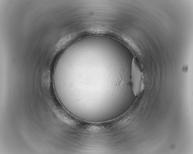 X0000093560494200710291022