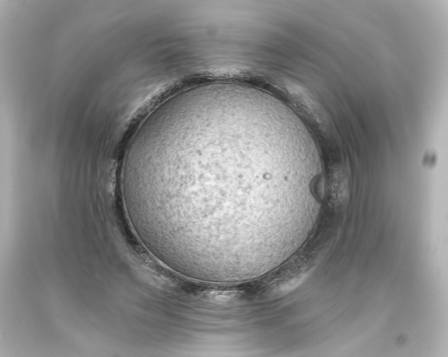 X0000093560495200710291022