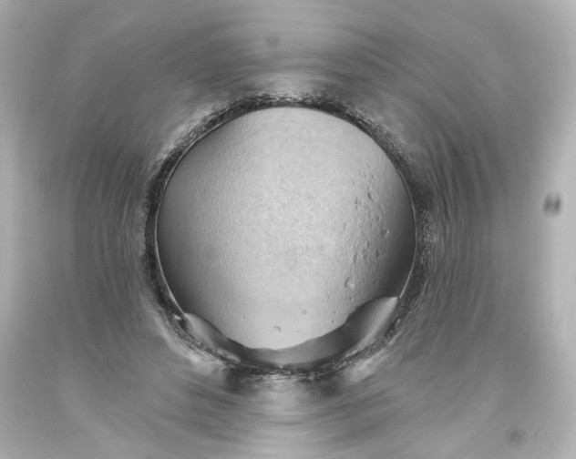 X0000093560496200710291022