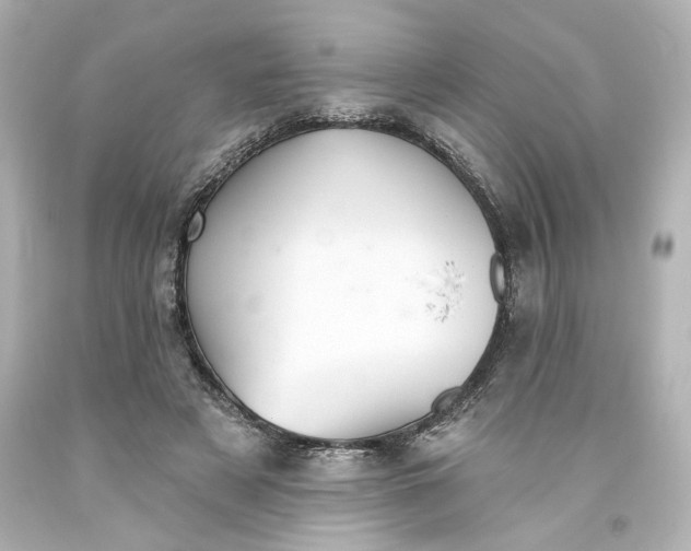 X0000093560497200710291022