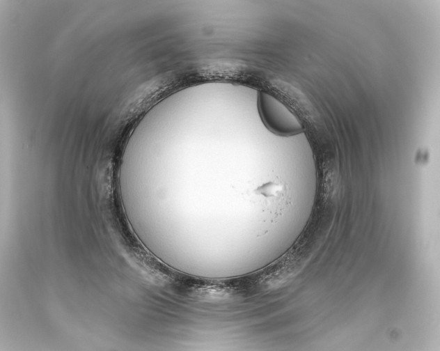 X0000093560498200710291022