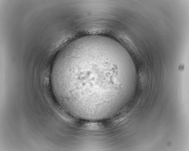 X0000093560499200710291022