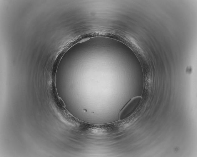 X0000093560500200710291022