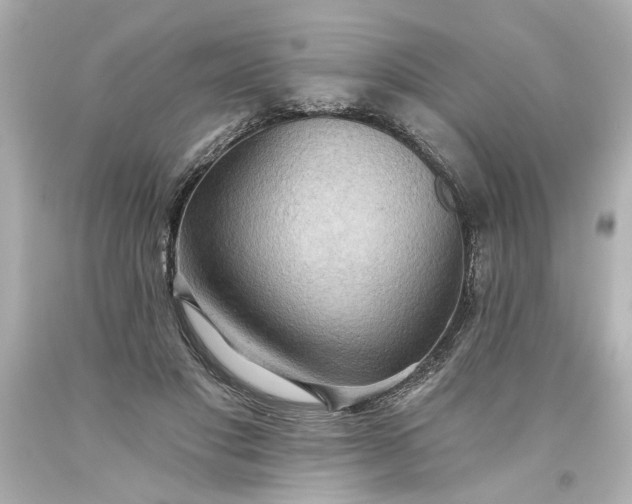 X0000093560501200710291022