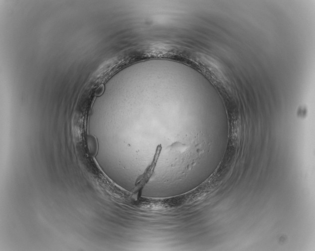 X0000093560503200710291022