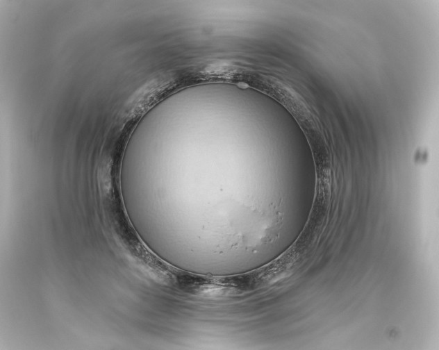 X0000093560504200710291022