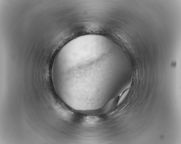 X0000093560508200710291022