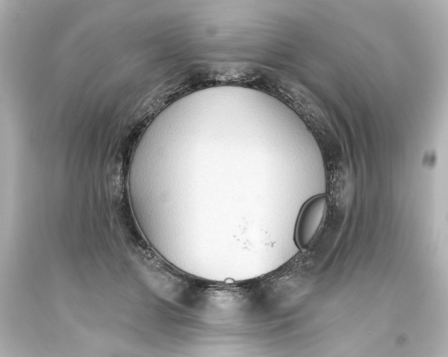 X0000093560510200710291022